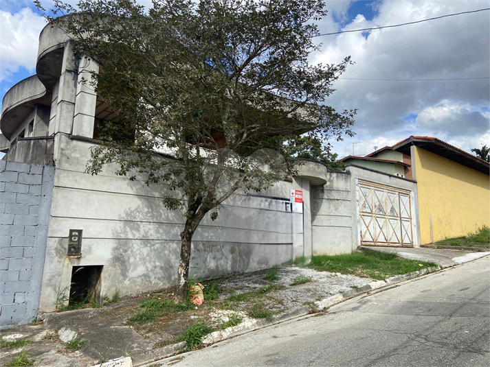 Foto REO1096914