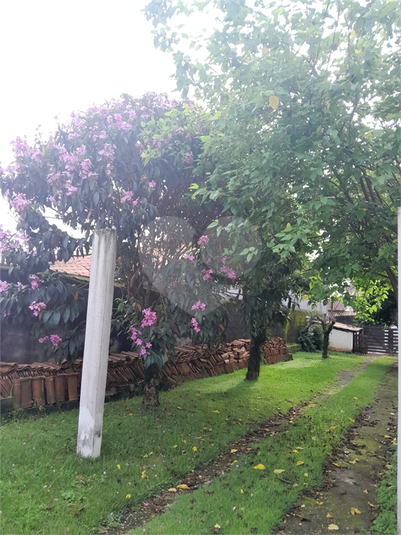 Foto REO1096915