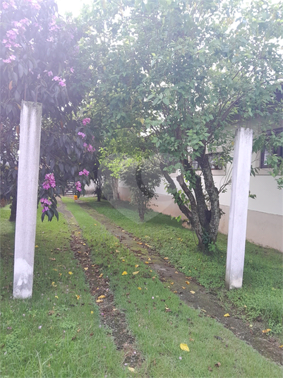 Foto REO1096915