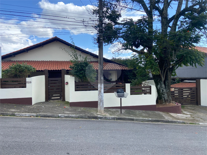 Foto REO1096915