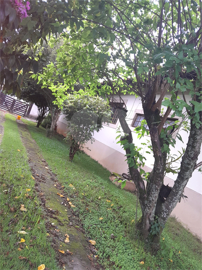 Foto REO1096915