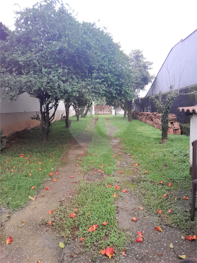 Foto REO1096915