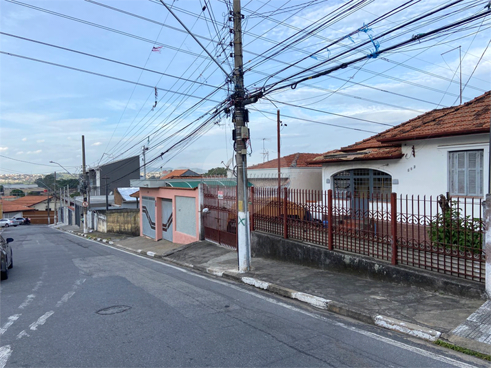Foto REO1096916