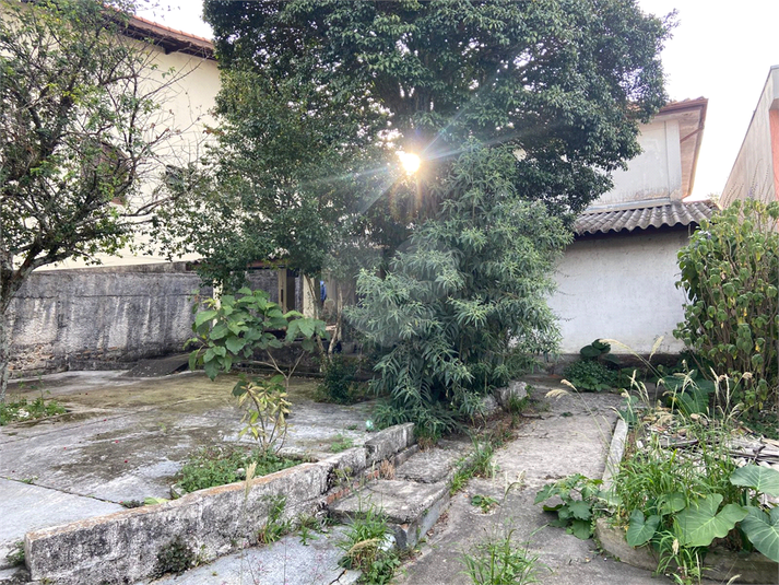 Foto REO1096916