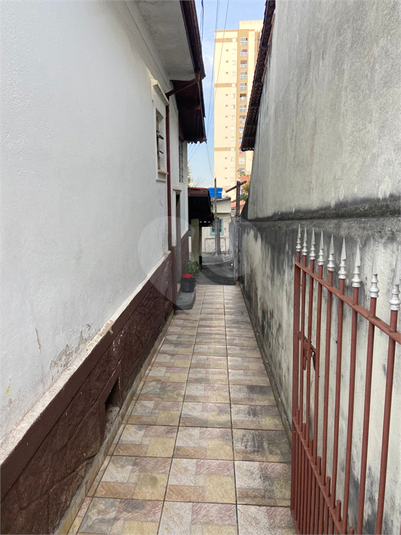 Foto REO1096916