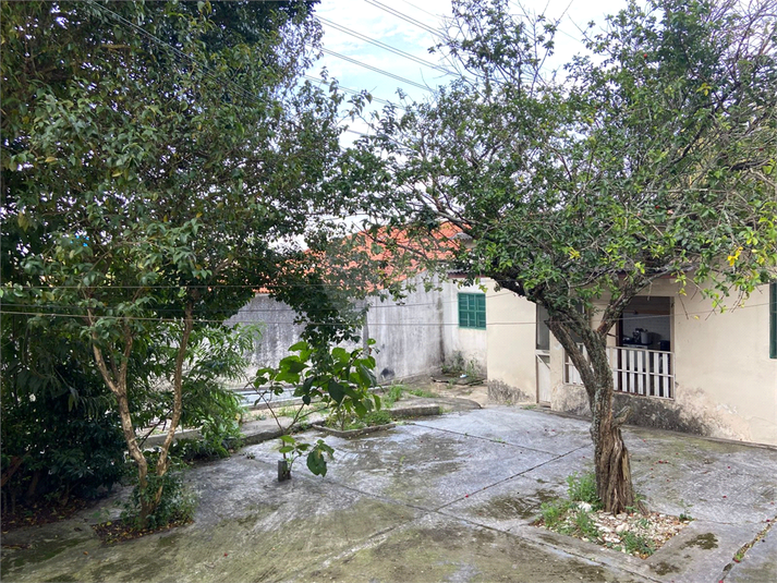 Foto REO1096916