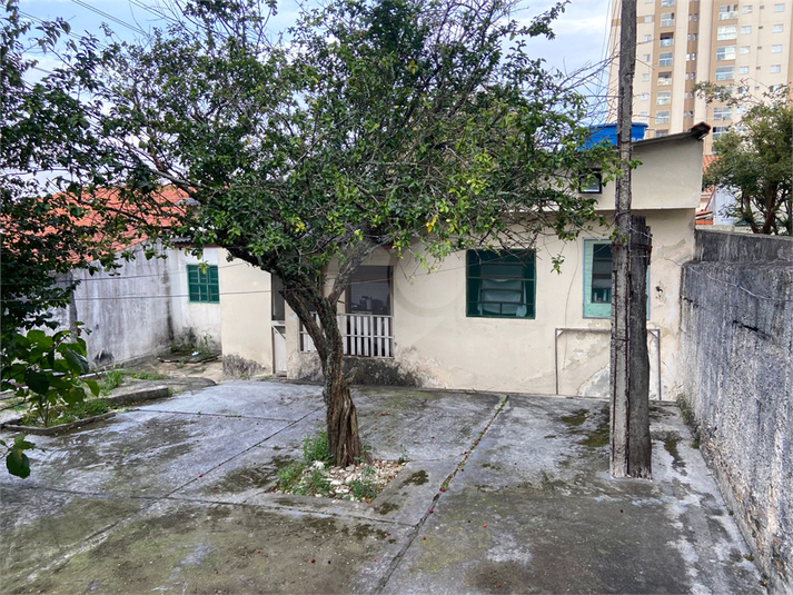 Foto REO1096916