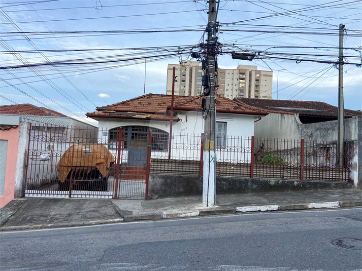 Foto REO1096916