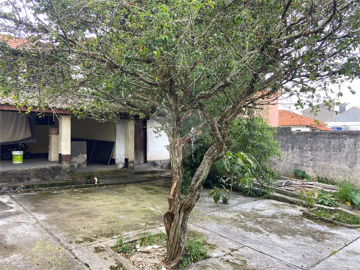 Foto REO1096916