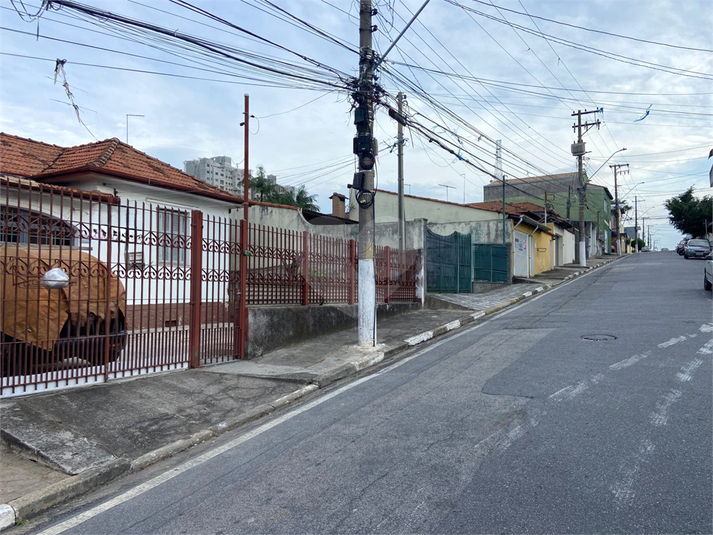 Foto REO1096916