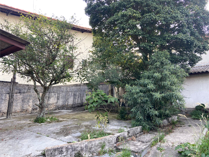 Foto REO1096916