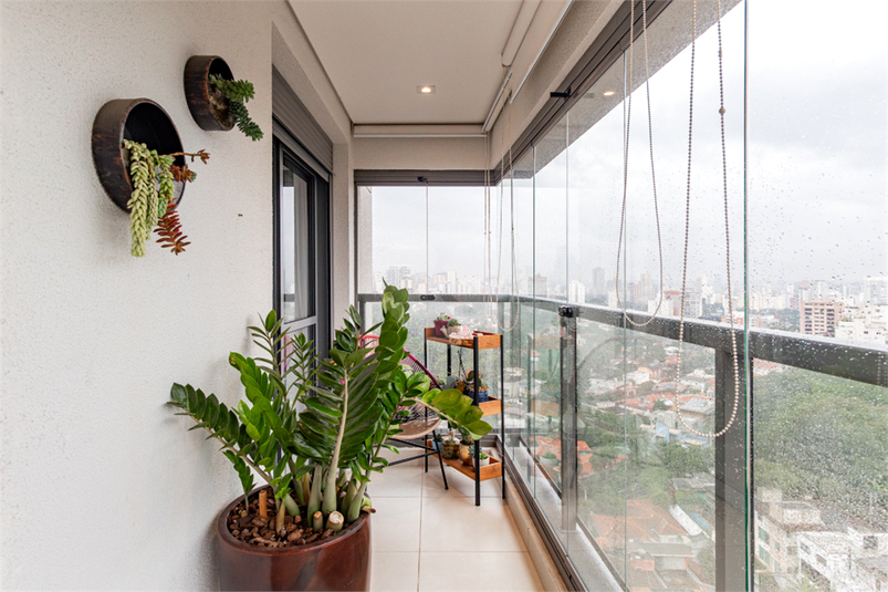 Foto REO1096919
