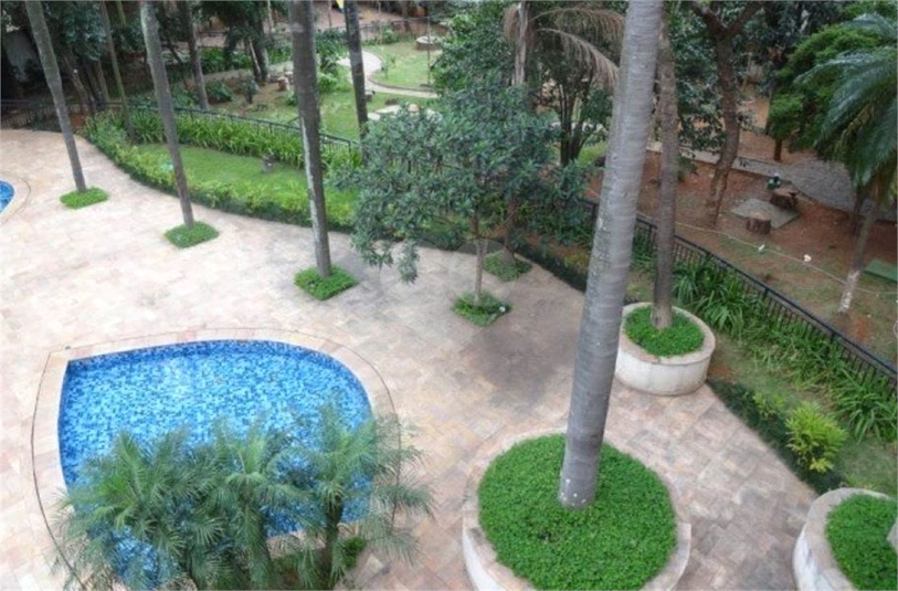 Foto REO1096927