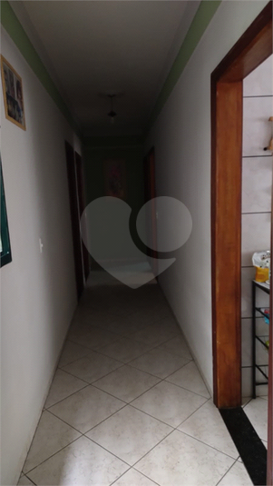 Foto REO1096928
