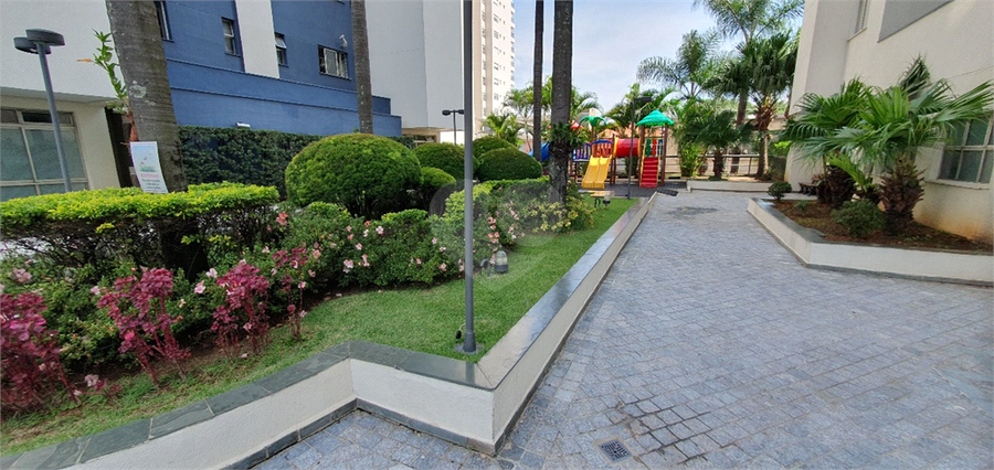 Foto REO1096936