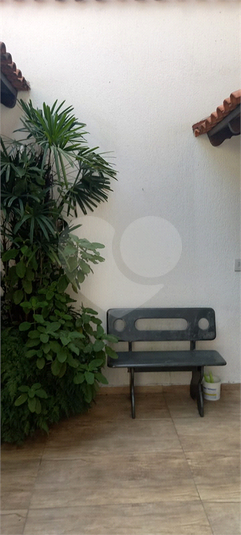 Foto REO1096950