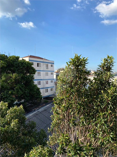 Foto REO1096954