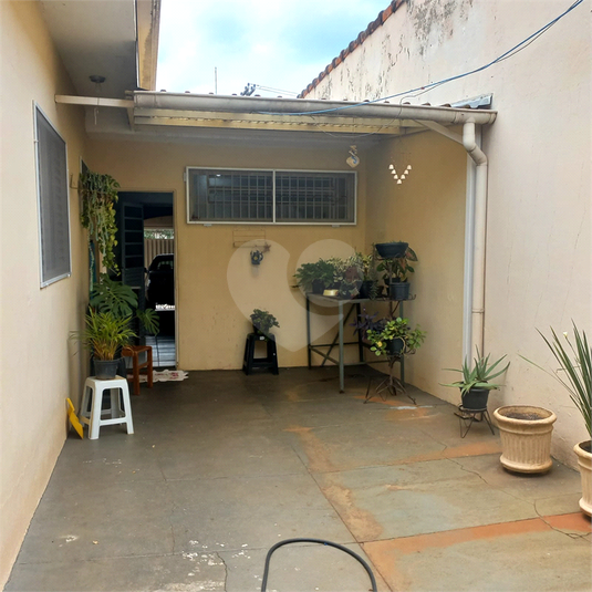 Foto REO1096956