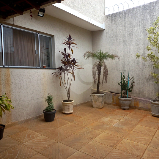 Foto REO1096956