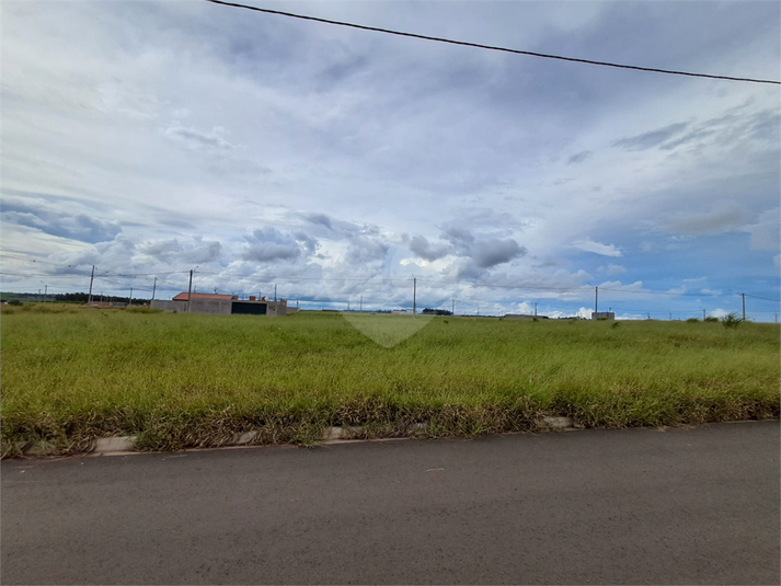 Foto REO1096957