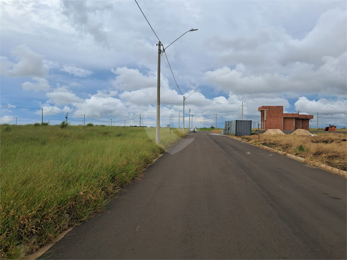 Foto REO1096957