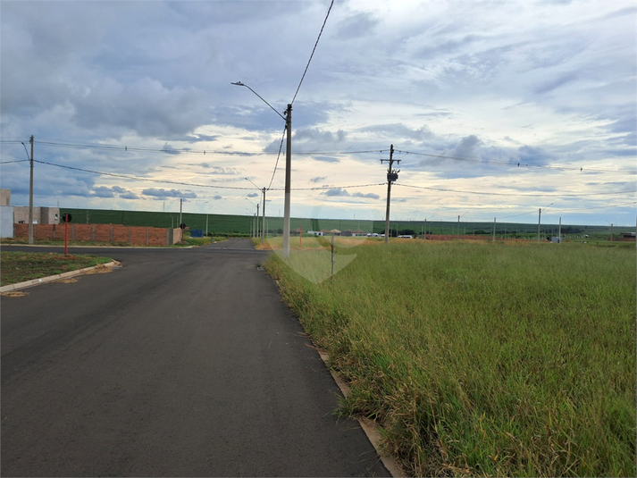 Foto REO1096957
