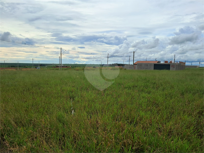 Foto REO1096957