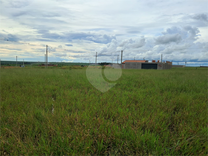 Foto REO1096957