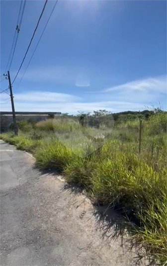 Foto REO1096961