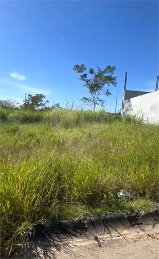 Foto REO1096961