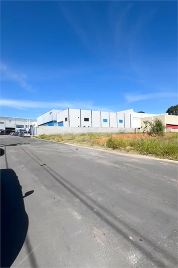 Foto REO1096961