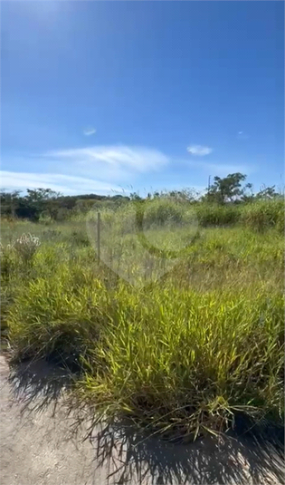 Foto REO1096961