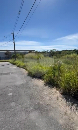 Foto REO1096961