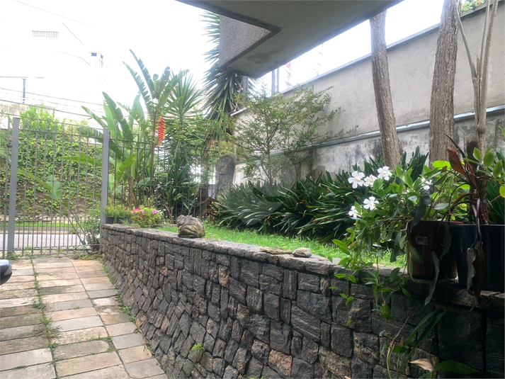 Foto REO1096967