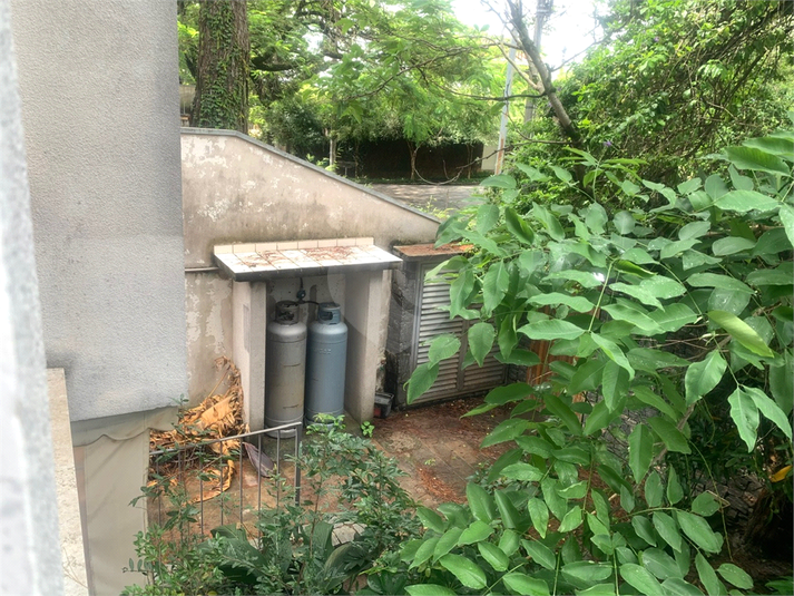 Foto REO1096967