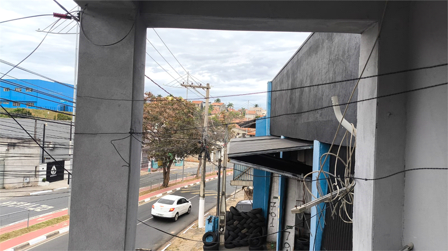 Foto REO1096968