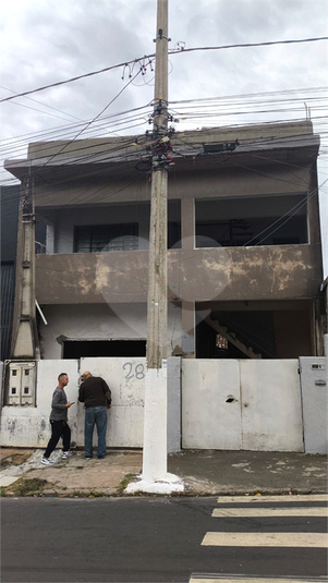 Foto REO1096968