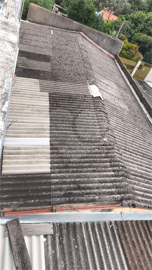 Foto REO1096968