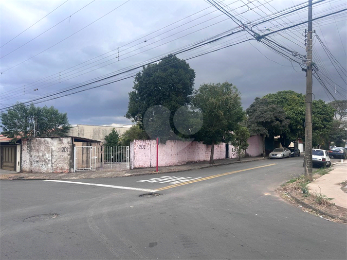 Foto REO1096973