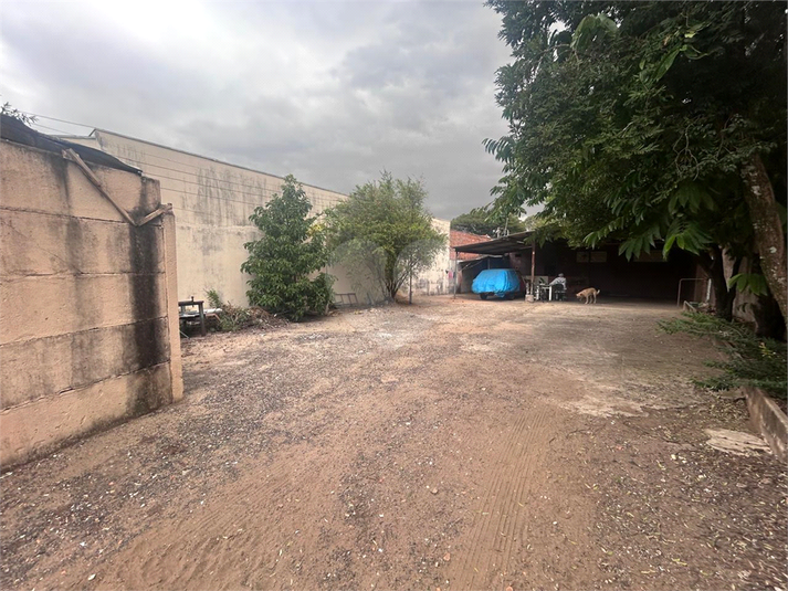 Foto REO1096973