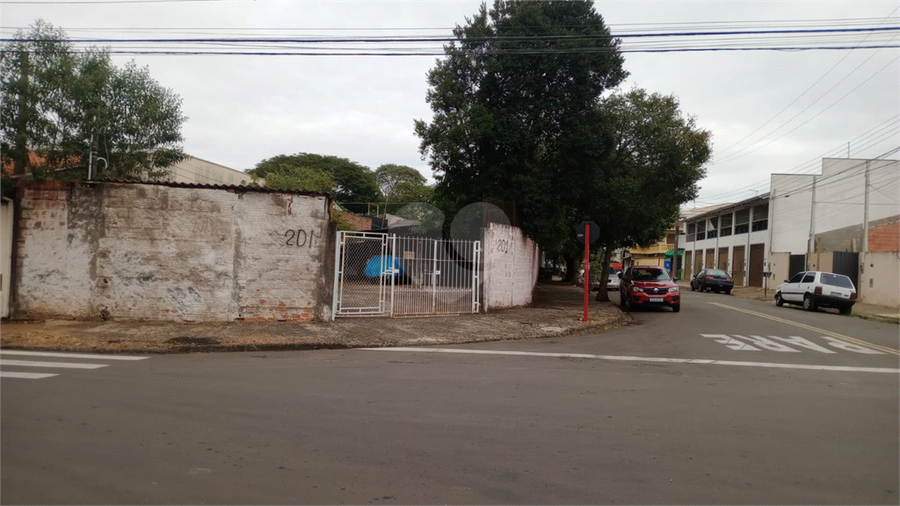 Foto REO1096973