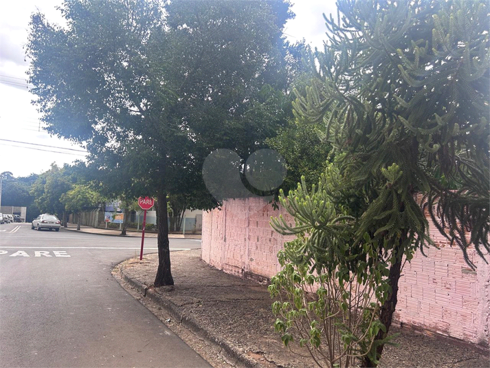 Foto REO1096973