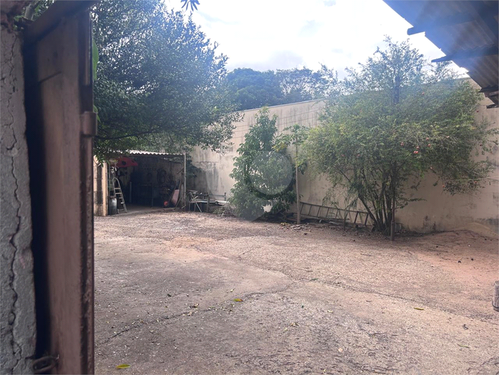 Foto REO1096973