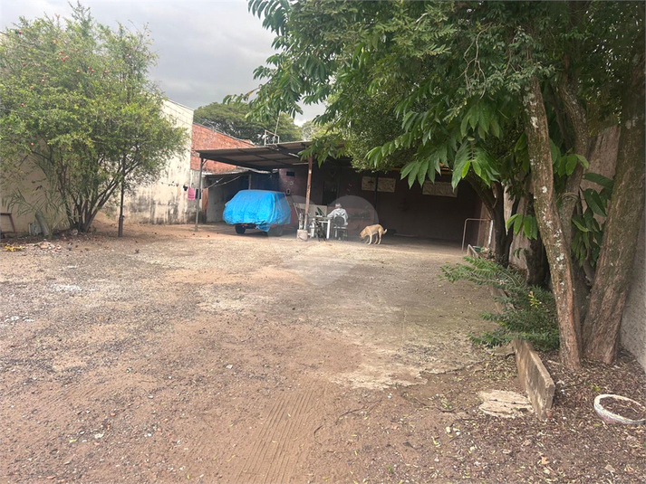 Foto REO1096973