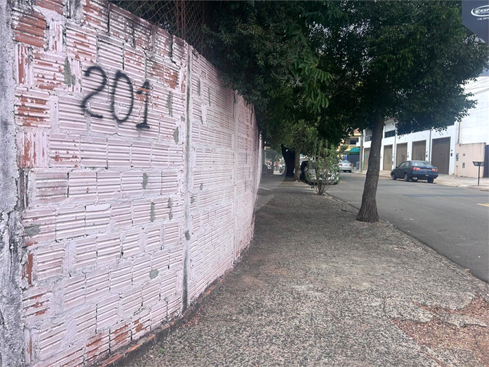 Foto REO1096973