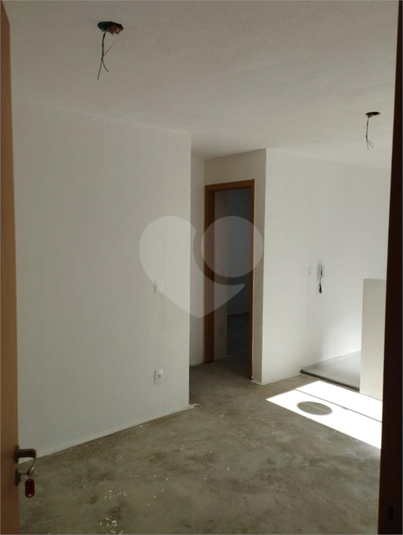 Foto REO1096979