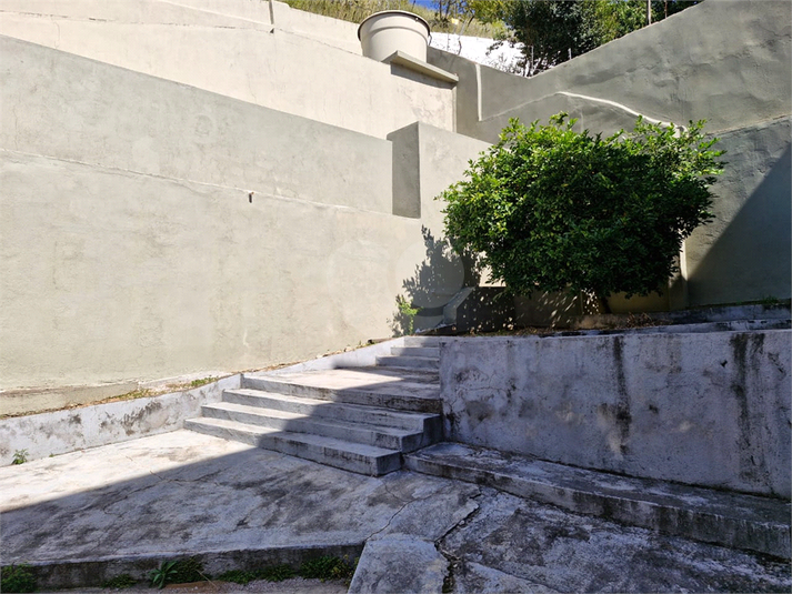 Foto REO1096982