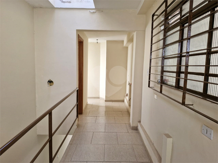 Foto REO1096982