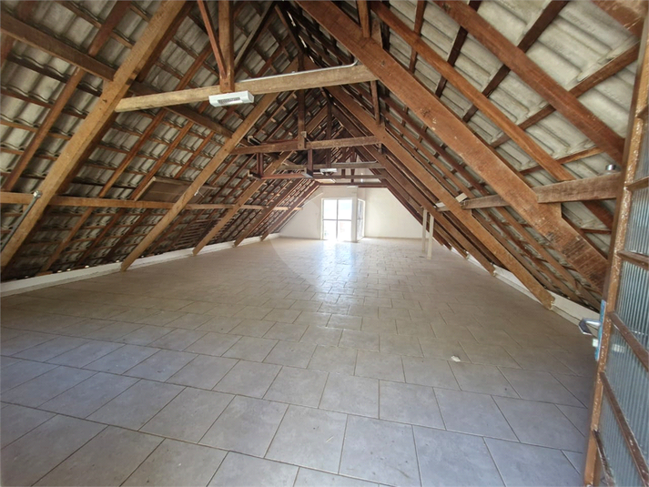Foto REO1096982