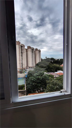 Foto REO1096985